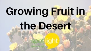 "Growing Fruit in the Desert" - practice English with Spotlight
