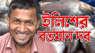 ইলিশের বর্তমান দর জানুন । ৯-৩০ অক্টোবর ইলিশ ধরা, মজুদ ও বিক্রি বন্ধ | বাংলারমুখ | Banglarmukh