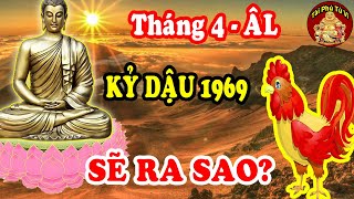 Tử Vi Tháng 4 Âm Lịch Tuổi Kỷ Dậu 1969 May Mắn, Giàu Có Hay Vận hạn Thế Nào?