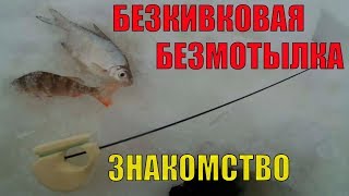 Безкивковая Безмотылка. Знакомство.