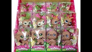 Сравнение оригинала и подделки Pet Shop