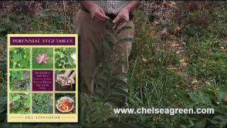 Eric Toensmeier Tours His Backyard Perennial Food Garden (Part 2 of 4)