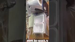 Ручной запайщик FPS 102 с обрезкой по контуру