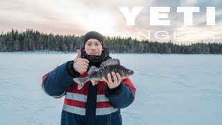 Рыбалка на Кольском 2017. Крупный окунь зимой. Места заветные.