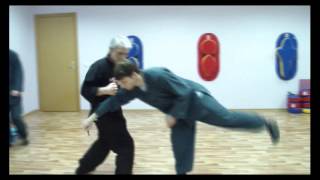 Школа кунг фу. Обучение. В. Шустров.
