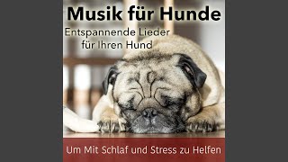Entspannen Mein Hund