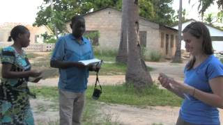 What is The DAR Project?
