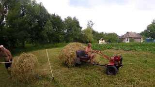Сельская жизнь: уборка сена / люцерки, дела огородные. У нас любимые гости! VLOG! Countryside.