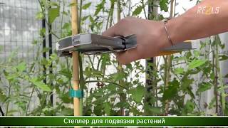 Степлер для подвязки винограда Re2ls