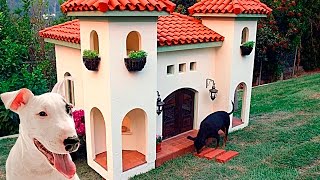 6 САМЫХ ДОРОГИХ ДОМОВ ДЛЯ СОБАК