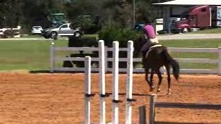 Mardi - Large Green Pony for Sale
