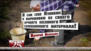 Картошку с дач могут обложить штрафами. Великий перепост