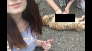 Хабаровские живодёры