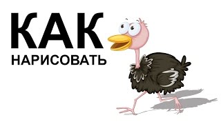 Картинки про птиц. КАК карандашом НАРИСОВАТЬ ПТИЦУ