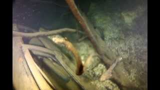 Con la GoPro alle macchine di Moregallo