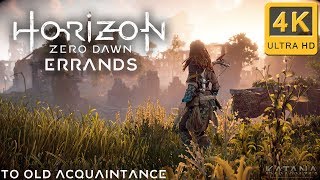 Horizon Zero Dawn Errand Walkthrough | Very Hard No Damage | To Old Acquaintance