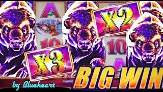 BUFFALO GOLD slot machine BONUS WINS! (Wonder 4 Wonder Wheel)