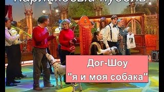 Карликовый пудель в программе "Дог - шоу я и моя собака".
