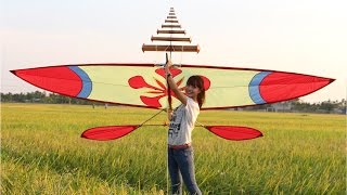 Giao lưu các CLB, Hội diều khu vực miền Bắc tại Hải Phòng
