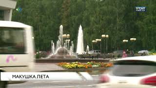 Макушка лета