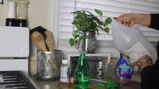 Preparando mi Kit de Lipieza (DIY) Productos Naturales