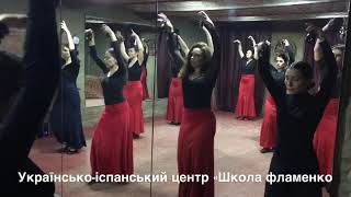 Sevillanas con castañuelas , El centro ucraniano-español “Escuela Flamenco”