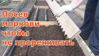 Как посеять морковь чтобы потом не прореживать