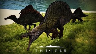 DES BÉBÉS SPINO PARTOUT  - The Isle