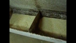 Краткий обзор самокормушки