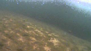 Испытание подводной видеокамеры - Fish finder camera