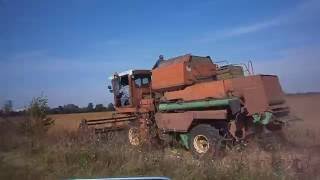 Комбайн ДОН - 1500 Ростсельмаш молотит сою. Harvester DON - 1500 Rostselmash soybeans. #vseklevo