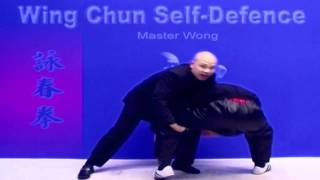 Wing Chun kung fu - Self defence Lesson 3