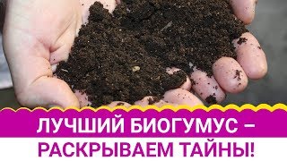 Лучший биогумус – раскрываем тайны!