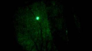 Night Airsoft, Okt 2009 Sweden, Björnligan no1