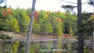 RCCL Brilliance of the Seas - Fall Foliage Cruise