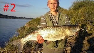 Boleń 84 cm czy sandacz 80 cm? Trudny wybór, Wędkarska Korba #2