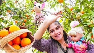 Ayşe Gül ve Loli ile bahçede mandalina topluyorlar! Bebek bakma oyunu!