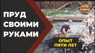 Пруд своими руками. Пять лет эксплуатации.