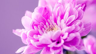 Deep Spiritual Cleansing Music - 432Hz Healing Meditation - Soothing Energy - Love Self Music