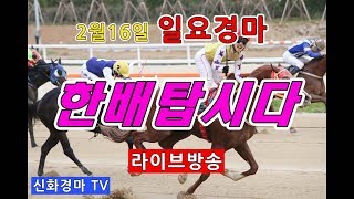 2월 16일 일요경마/서울경마/ 라이브방송!!