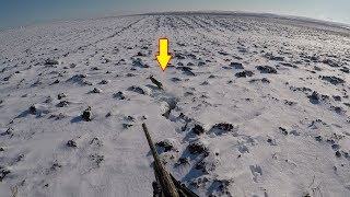 ШОК!!! СТОЛЬКО ЗАЙЦЕВ Я НЕ ПОДНИМАЛ! ПЕРВЫЙ СНЕГ! 5:0. The hunting of the hare.