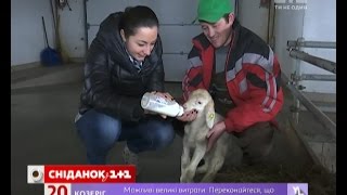Мій Путівник. Трускавець. Сюжет четвертий