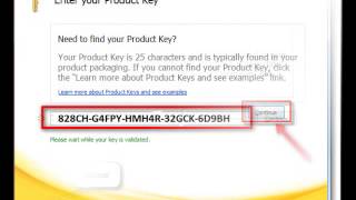 Microsoft Office 2010 Professional plus Product Key