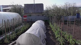 ОБЗОР 7 МАЯ. ТЕПЛО И ВЕТРЕННО! Ольга Чернова.