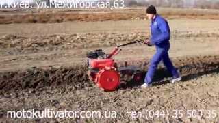 Мотоблок (мотокультиватор)  Meccanica Benassi RL-349 (Италия)