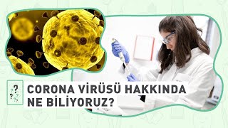 #Corona Virüsü hakkında ne biliyoruz? (Türkiye tehlikede mi?)
