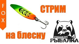Вьюнок, спиннинг Русская рыбалка 4.