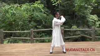虎形Tiger - Wudang Five Animals Qi Gong (Master Chen Shiyu)  - Тигр ("игры пяти зверей")