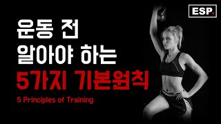 운동 전 알아야 하는 5가지 기본원칙┃5 basic principles to must know before exercise┃운동과학놀이┃EXERCISE SCIENCE PLAY