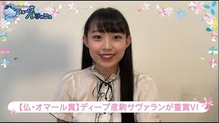 【仏・オマール賞】ディープインパクト産駒のサヴァランが無敗で重賞Vなど/ニュースフラッシュ